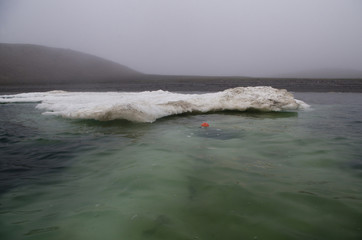 A huge ice floe near the coast of Novaya Zemlya