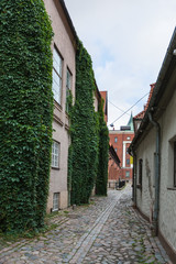 Wall Mural - narrow stone street in Od Town of Riga city