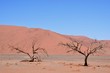 Landschaft Namibia -Wüste