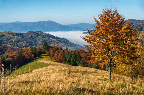 Plakat Piękny jesień krajobraz w górach