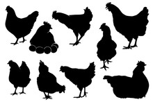 Hen Chicken Silhouette Set