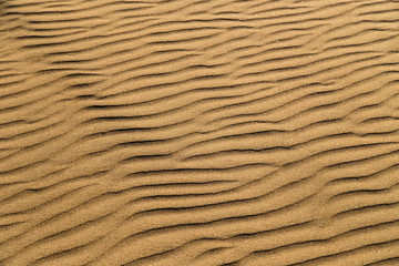 Wall Mural - Sand in the desert as a background