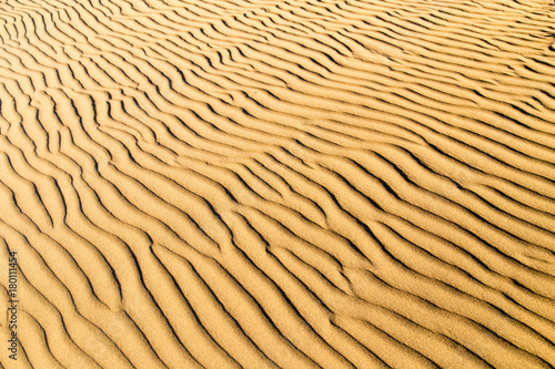 Plakat Piasek na pustyni jako tło