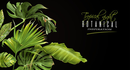 Wall Mural - Tropical night horizontal banner