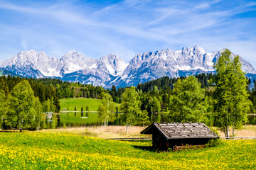 Canvas Print - mountain wilder kaiser