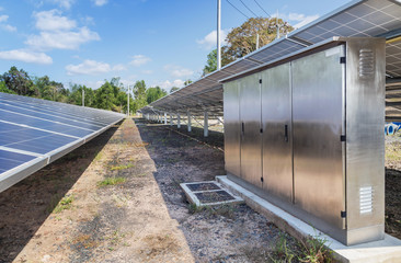 Wall Mural - solar cells in solar power plant turn up skyward absorb the sunlight from the sun use light energy t
