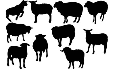 Wall Mural - Sheep Silhouette Vector Graphics