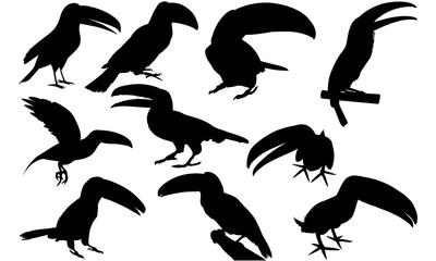 Wall Mural - Toucan Silhouette Vector Graphics