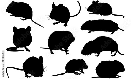 Fotomural Vole Silhouette Vector Graphics