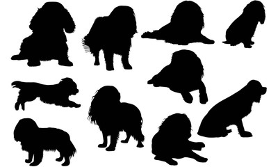 Wall Mural - Cavalier King Charles Spaniel Dog Silhouette Vector Graphics