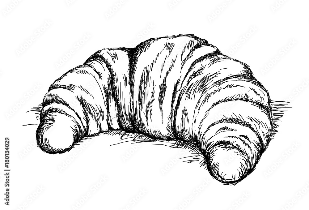 Hand drawn beautiful Croissant vector illustration Stock Vector | Adobe ...