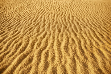 the figure of the desert