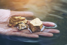 Gold In Its Origin As Gold Nuggets In The Mine Is In The Hands Of Men Selective Focus.