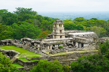 Wall Mural - Mayan ruins in Palenque, Chiapas, Mexico. Palace and observatory.