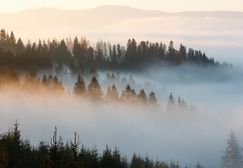  Autumn Carpathians, Ukraine.