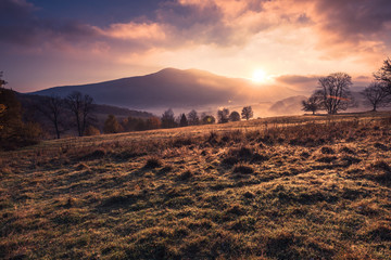 Wall Mural - Sunrise at misty foggy morning in Bieszczady Carpathian Mountains in Poland