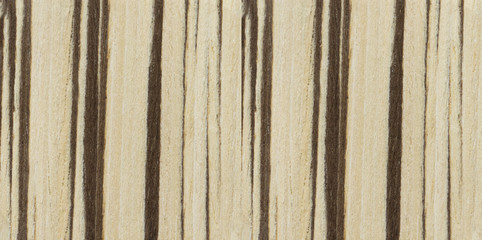 Wall Mural - Wooden texture for interior design and decoration