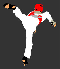 Taekwondo fighter vector illustration isolated. Sparring on training action. Self defense, defence art exercising concept. Warrior in the martial arts battle. Combat competition.