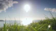 Seamless 4K Cinemagraph Loop, Late Afternoon Sun Over The Ocean Horizon And Foreground Grass Blowing In The Breeze, Perfect For Video Backgrounds.