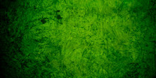 Green Mortar Background Texture / Green Wall
