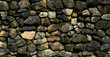 rock background texture. mortar