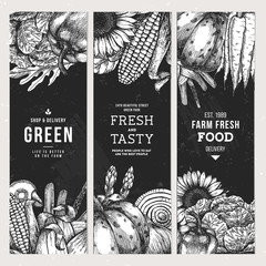 Wall Mural - healthy organic meal vintage vertical banner collection. fresh vegetables design template. vector il