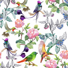 Watercolor Hand Drawn Seamless Pattern With Beautiful Flowers And Colorful Birds On White Background.