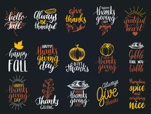 Set Of Lettering And Illustrations For Thanksgiving Day. Vector Drawn And Handwritten Labels Of Happy Fall Etc.