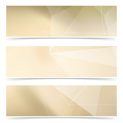 Wall Mural - bright futuristic abstract polygonal card templates collection