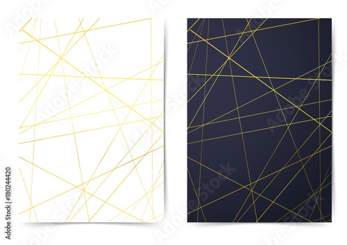Papel de parede Golden abstract thin line pattern folder collection