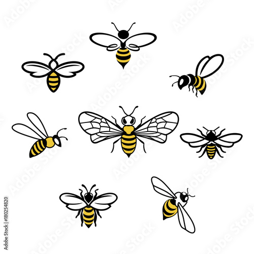 Illustration Bee Image