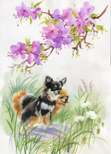 Hand Drawn Dogs On The Nature, Watercolor Illustration.