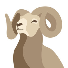 ram head face vector illustration flat style