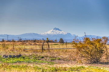 Farm Field with Mountain View