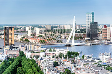 Fototapete - Panorama von Rotterdam mit Erasmusbrücke, Holland
