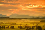 Fototapeta Sawanna - Breathtaking morning lansdcape of small bavarian village covered in fog. Scenic view of Bavarian Alps at sunrise with majestic mountains in the background.