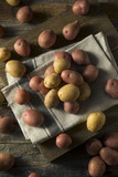 Fototapeta Mapy - Raw Organic Mixed Baby Potatoes