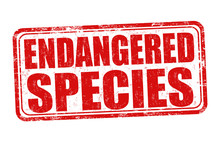 Endangered Species Grunge Rubber Stamp