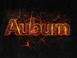 Auburn Fire text flame burning hot lava explosion background.