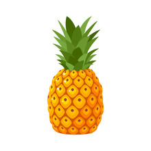 Summer Fruits For Healthy Lifestyle. Pineapple Fruit. Vector Illustration Cartoon Flat Icon Isolated On White.