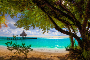 Wall Mural - Tropical beach