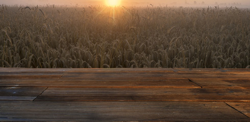 Wall Mural - wooden table on the background fields of grain