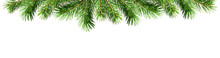 Green Pine Twigs For Christmas Top Border