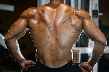 Handsome model young man training back in gym