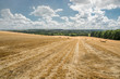 © Serhii - A newly harvested field with straw bales on the background of a blue cloudy sky
