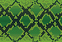 Vector Seamless Texture With A Reptile Skin, Snake Skin