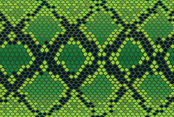 Vector seamless texture with a reptile skin, snake skin