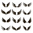 12 black and white wings icons