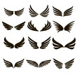 12 black wing icons