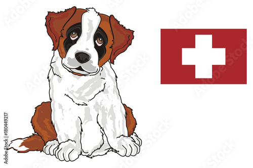 red st bernard